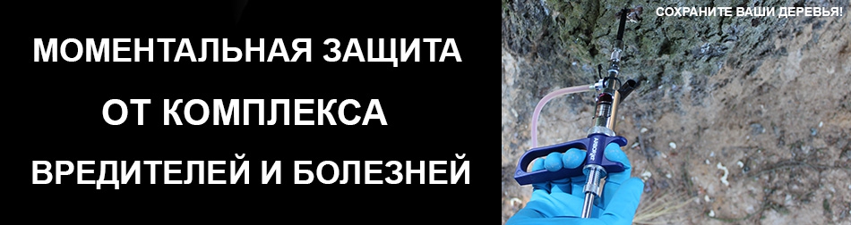 Вредители деревьев