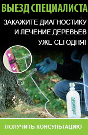 Выезд специалиста